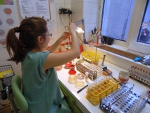 Oddělení lékařské mikrobiologie
